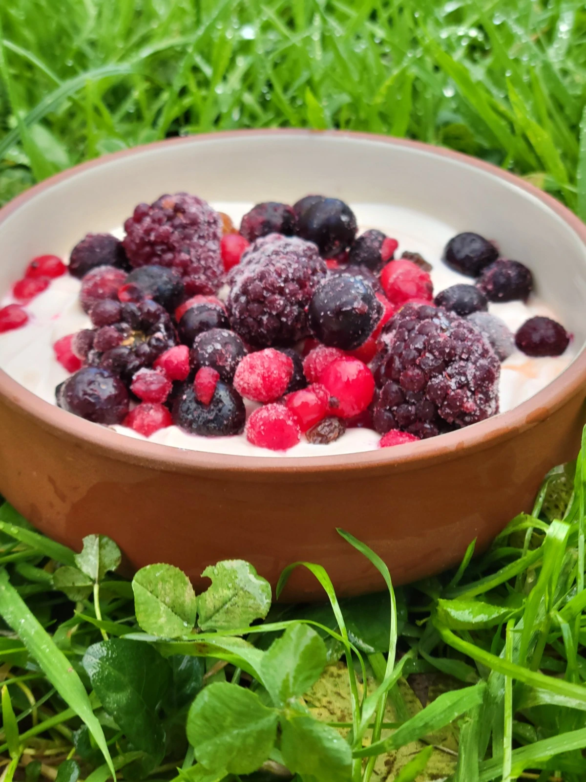 Bol en terracotta avec fruits rouges et herbes