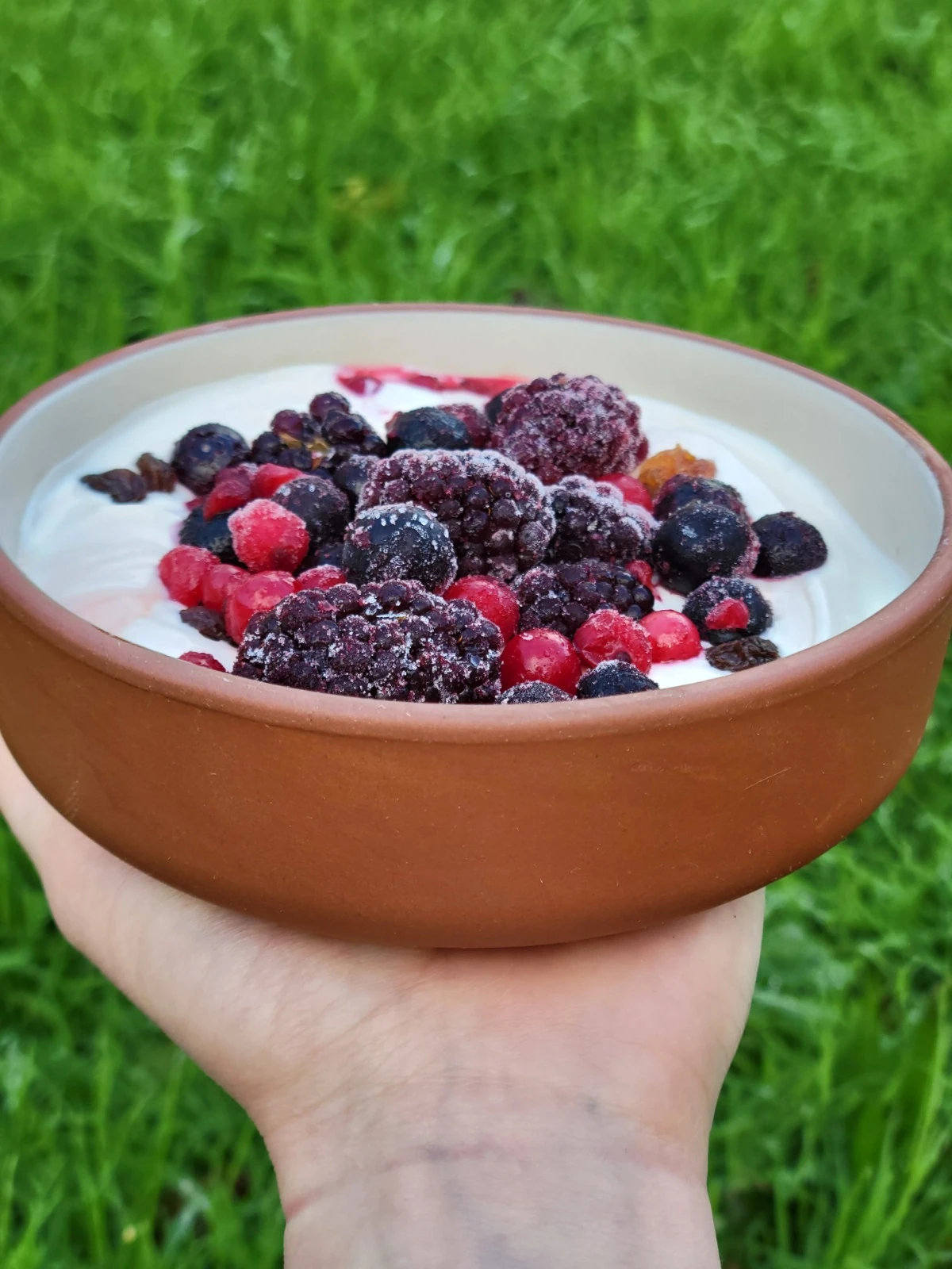 Service de fruits dans des bols en terracotta